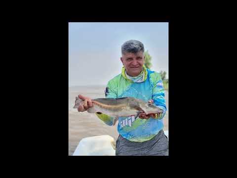 PESCA VARIADA EN EL RIO PARANA, PUERTO VILELAS