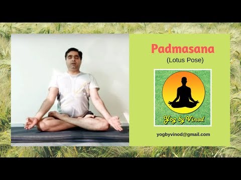Padamasna (Lotus Pose)