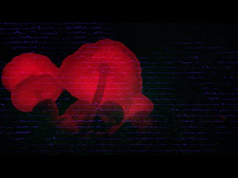 Mindmelt with Koolik - 001 - w/ Eric Cloutier