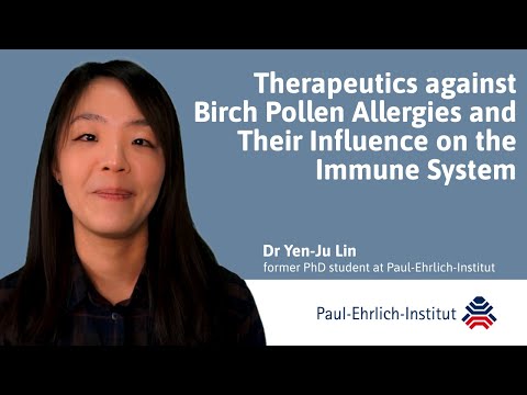 Therapeutics against birch pollen allergies