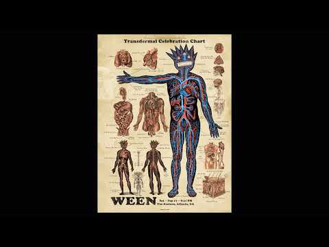 Ween 9/17/2022 Atlanta @ The Eastern - Polka Dot Tail