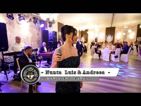 Nunta Luis & Andreea - Daria Cojocaru