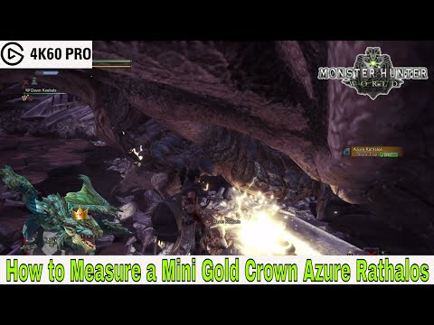 Monster Hunter: World - How to Measure a Mini Gold Crown Azure Rathalos Video