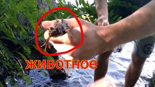 Нарезка с рыбалки