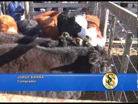 JORGE SIERRA - Martin G. Lalor S.A. - Tandil - 22/08/2013