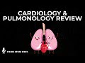 Medical Student Review Cardiology And Pulmonology For USMLE And Medicine Shelf