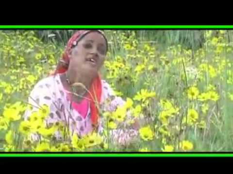 Taaffesech Ejersoo - Ateetiyyoo (Oromo Music)