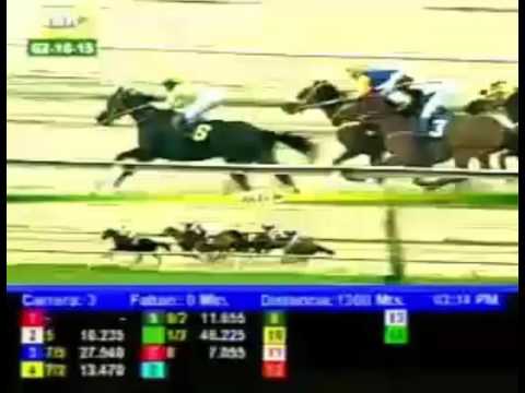 VALENCIA 3 CARRERA, VIERNES 02 DE OCTUBRE DEL 2015