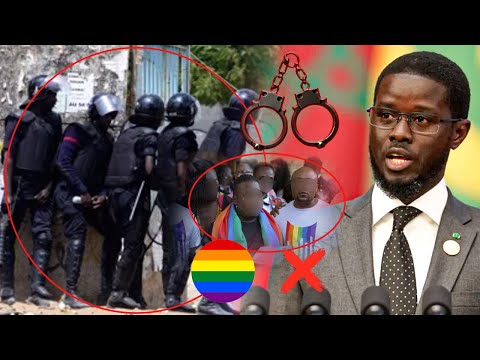 Urgent 🚨 Président de la République diomaye sur... l'arrestation de 15 homosexuel Diourbel.......