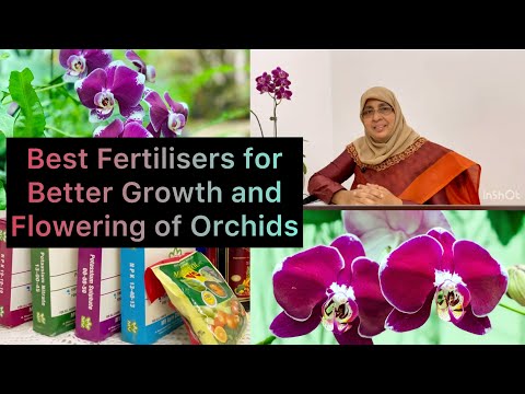 Best Fertilisers for Better Growth and  Flowering of Orchids | Orchid Care in Malayalam
