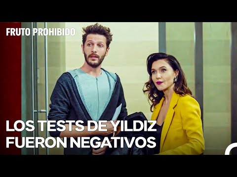 Los Ladrones De Archivos Robaron Documentos Del Hospital - Fruto Prohibido Capitulo 59