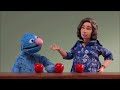 Robot Chicken Sesame Street Parodies