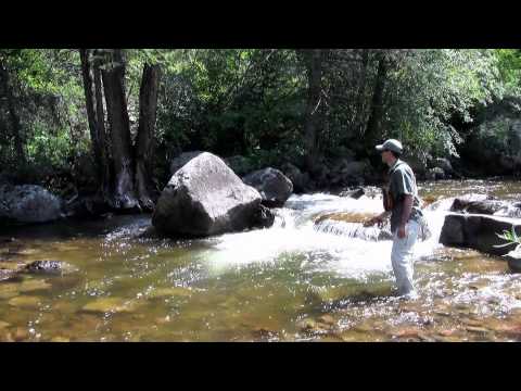 How to fish in freestone streams