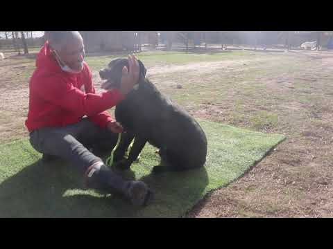 Vídeo de CLANCY