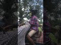 Horseback Riding With The Kids This LaborDay 2020