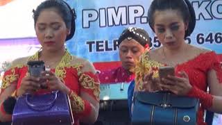 Download lagu Fortuna electone terbaru (kacu kuning) mp3 Download lagu Fortuna electone terbaru (kacu kuning) mp3