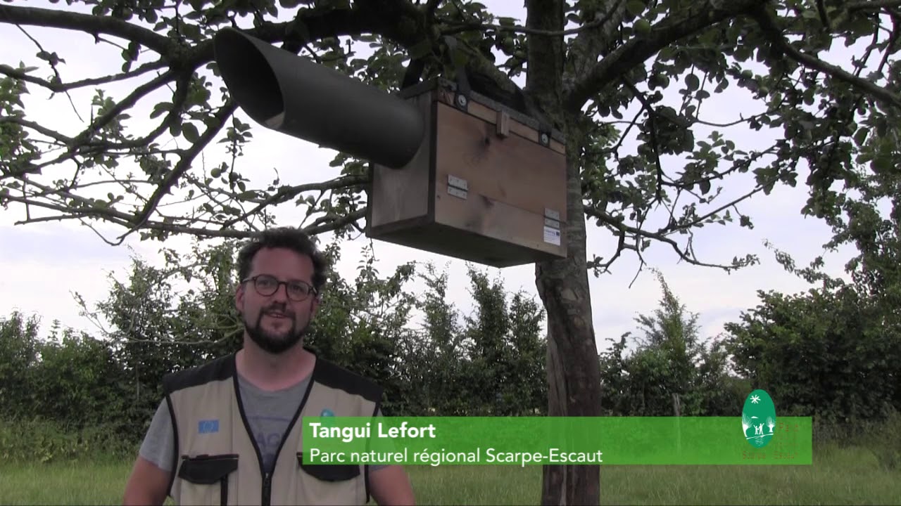 Installation de nichoirs à chevêche