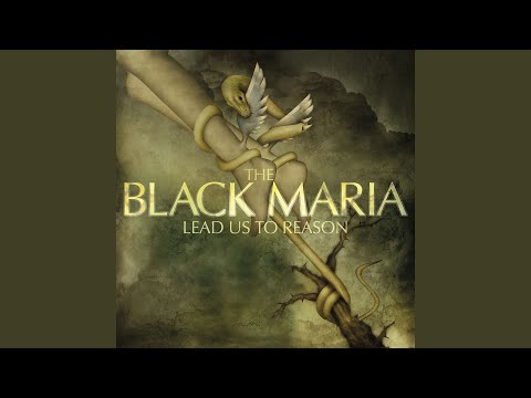 To Have Loved - The Black Maria