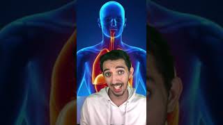 الدافور الأنسان عندو قلبين حقائق طب علم غرائب قصص معلومات قلب صحة