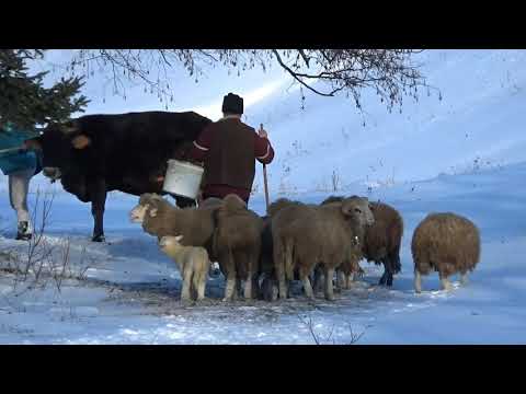 Pe coastă! - Un proiect OM pe MUNTE
