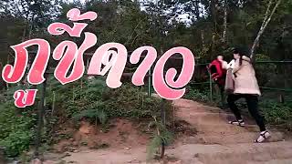 preview picture of video 'ทางเดินขึ้นภูชี้ดาว Phuchidao Walking Way'