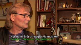 Vilde fugle flyver (1)