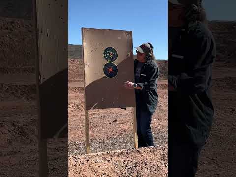 Should You Buy A Charter Arms Revolver?