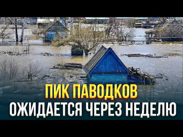 Специальный выпуск 07.04.2024 г.