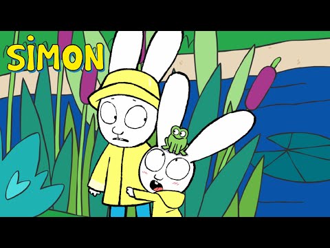 O coral dos sapos 🐸🌧️ Simon | Episódio Português Brasileiro | Desenhos animados para crianças