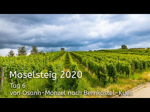 Moselsteig 2020 - Tag 6 - von Osann-Monzel nach Bernkastel-Kues