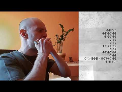 Big Walter Horton - Have A Good Time (Solo 2) HARMONICA Seydel 1847 Classic (C)