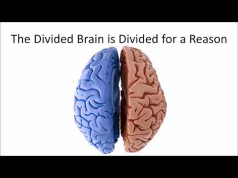 The Infallible Mind Dr. Norman Doidge