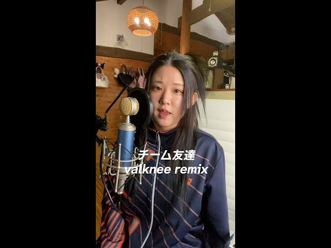 チーム友達 Remix - valknee