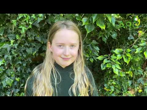 Weekly Briefing 26/04/20 | The ARC Centre