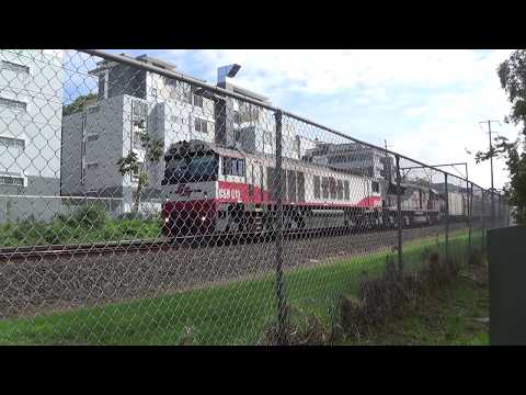 Mount Colah: Sct Train 20/3/2018