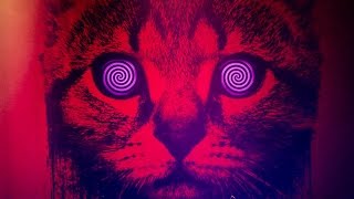 We Butter The Bread With Butter - Breekachu (live in Minsk 2016)