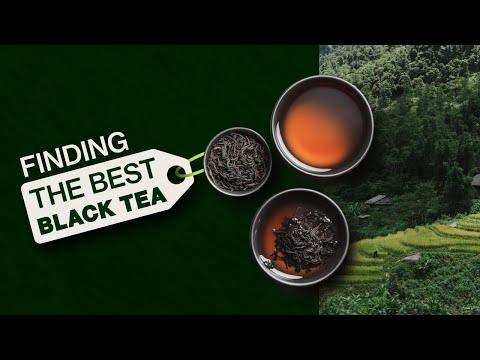 Tasting 4 Different Black Teas to Find the Best