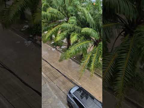 Así Amanece Leticia Amazonas Colombia, 10/03/2026