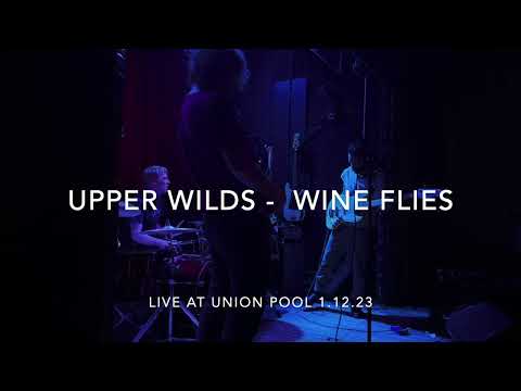 Upper Wilds - Wine Flies - Live at Union Pool