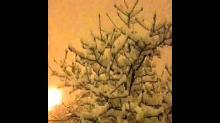 Beach House - I do not care for the winter sun (with lyrics)