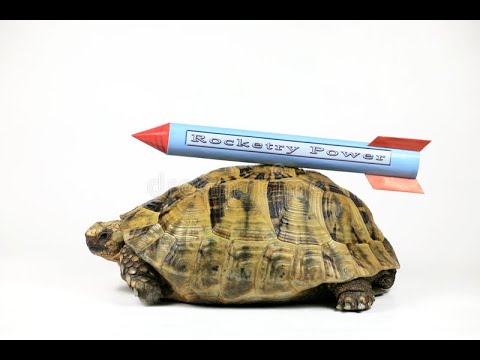 Developing Speed on the harmonica