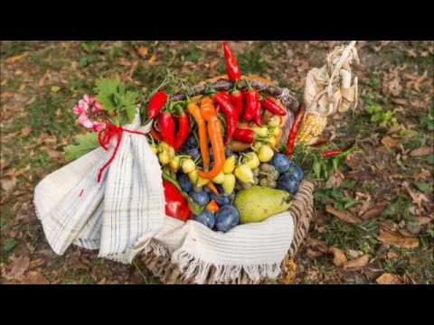 Podbrano ot folk jazz bend  Plovdiv 88