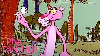 Pink Panther And The Little Bird | 35-Minute Compilation | Pink Panther Show