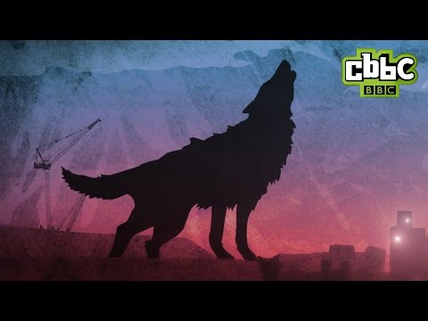 Wolfblood Brand New Opening Titles - Series 4