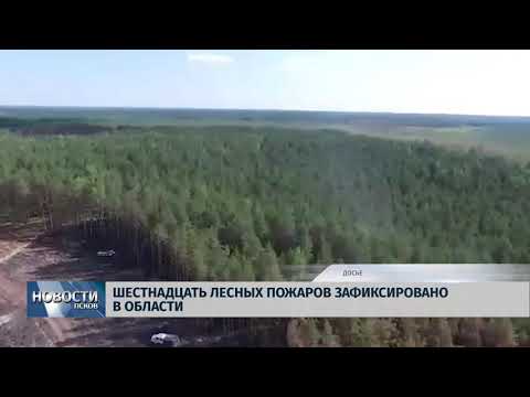 Новости Псков 13.08.2018 # За выходные в области зафиксировано 16 пожаров