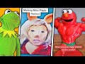 Tik Tok Memes Kermit The Frog Sent Me