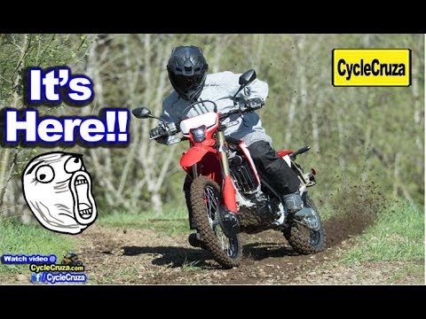 ALL NEW 2019 Honda CRF450L - FAST Lightweight Dual Sport!