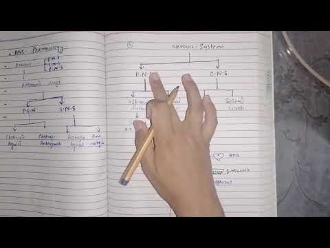 Autonomic Nervous System overview Part 1, #ans_pharma #pharmacology