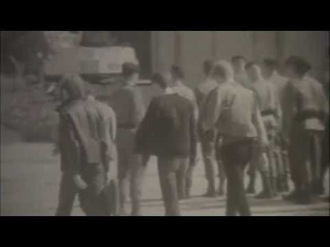 Daniel Bloom  -  Wszystko co kocham (Official Super 8mm Music Video)