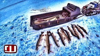 Почему на море не клюет щука